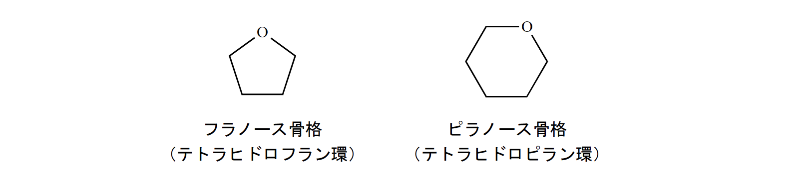 解説画像